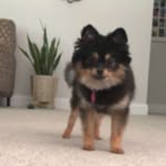 Marco Phillips - @marcophillips6 - Instagram