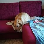 Piccinini Marco - @piccinini.marco.16 - Instagram