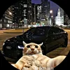 Marco Platas - @marco.platas4 - TikTok
