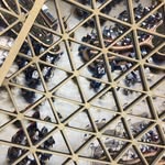 @marcoplaza - Instagram