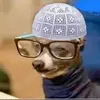 Marco.Powells - @marco.powells - TikTok