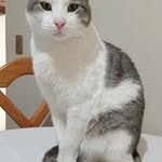 Marco Antonio QUEZADA - @marcoquezada1967 - Instagram