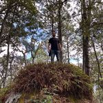 Marco QuinTo - @marco_qt - Instagram