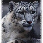 Marco Quinto Antonio - @marcoquintoantonio - Instagram
