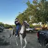marco ramirez - @nano_21983 - TikTok