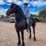 Marco Ramirez 🐴 - @marcosramirezabl - Instagram