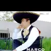 Marco Ramirez Oficial - @marco.ramirez.ofi - TikTok