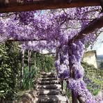 Marco Simonetti - Facebook
