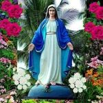 Marco Solares - @marco.solares.165 - Instagram
