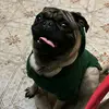 Marco - @marcosolorio3 - TikTok