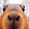 marcovicentesal21 - @marco_soltero - TikTok