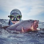 Marco Laporta - @marco_spearfishing - Instagram
