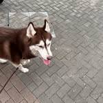 Marco Tam - @m_twhhh - Instagram