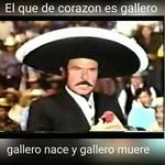 Marco Ugalde - @marco.ugalde.587 - Instagram