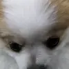 Marco - @marcoviola15 - TikTok