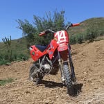 Marco Viola - @marcoviola150 - Instagram