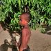 Marco Walker - Facebook