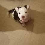 Marco Walker - @marco.walker.372 - Instagram
