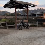 Marco Walshok - @marcowalshok - Instagram