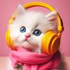 Marco Weiss - @marcoweiss13 - TikTok