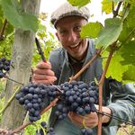Marco Westra - @marco_westra - Instagram