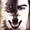 Marco Wolf - @marco_0wolf0 - TikTok