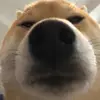 Marco wu - @marcowu53 - TikTok