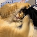 Marco Wu - @marcowu_1224 - Instagram
