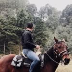 Marco Antonio Zárate - @marco_zaratee - Instagram