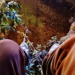 Marco Zarate Merma - @marco_zarate._ - Instagram