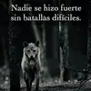 user153227974306 - @marco12zeledon - TikTok