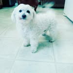 Marcos Ayon - @toao_goldenwizard - Instagram