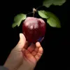 Marcos Badillo☘️🍎 - @marcosbadillo5 - TikTok
