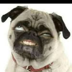 Marcos Ballona - @marcos.ballona.73 - Instagram