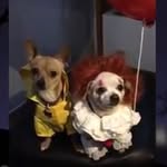 Marcos Bernal - @bat.monkey900 - Instagram