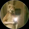 Marcos - @marcos_cantu23 - TikTok
