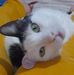 Marcos Duque - Facebook