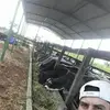 Marcos Enciso - @marcos.enciso6 - TikTok