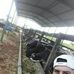 Marcos Enciso - Facebook