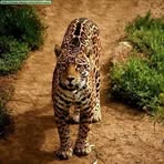 Marcos Espino - Facebook