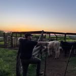 Marcos Espinola - @marcosespinola__ - Instagram