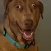 Marcos Fontes - @user14657029 - TikTok