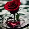 Marcos Issaak - @marcos.issaak - TikTok