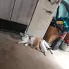 marco.sjose - @marco.sjose - TikTok