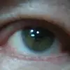 marcosjose - @marcosjose5894 - TikTok