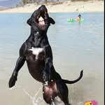 Marcos Latorre - @latorre.marcos - Instagram