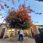 Marcos Lazo - @marcos.lazo.aquino - Instagram