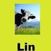 Marcos Lin - Facebook