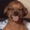 marcosloera261 - @marcosloera261 - TikTok