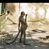 Marcos lujano - @marcos.lujano - TikTok